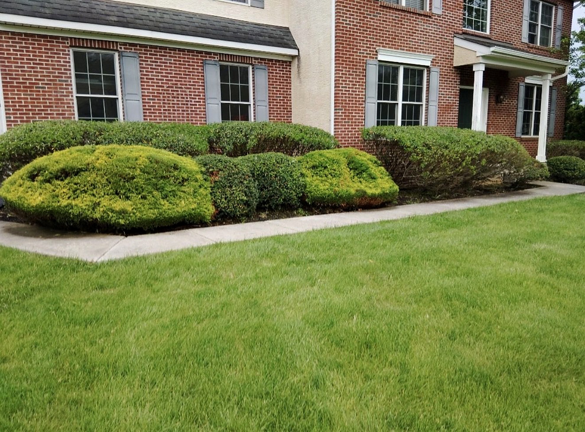 Clean edging with mulch