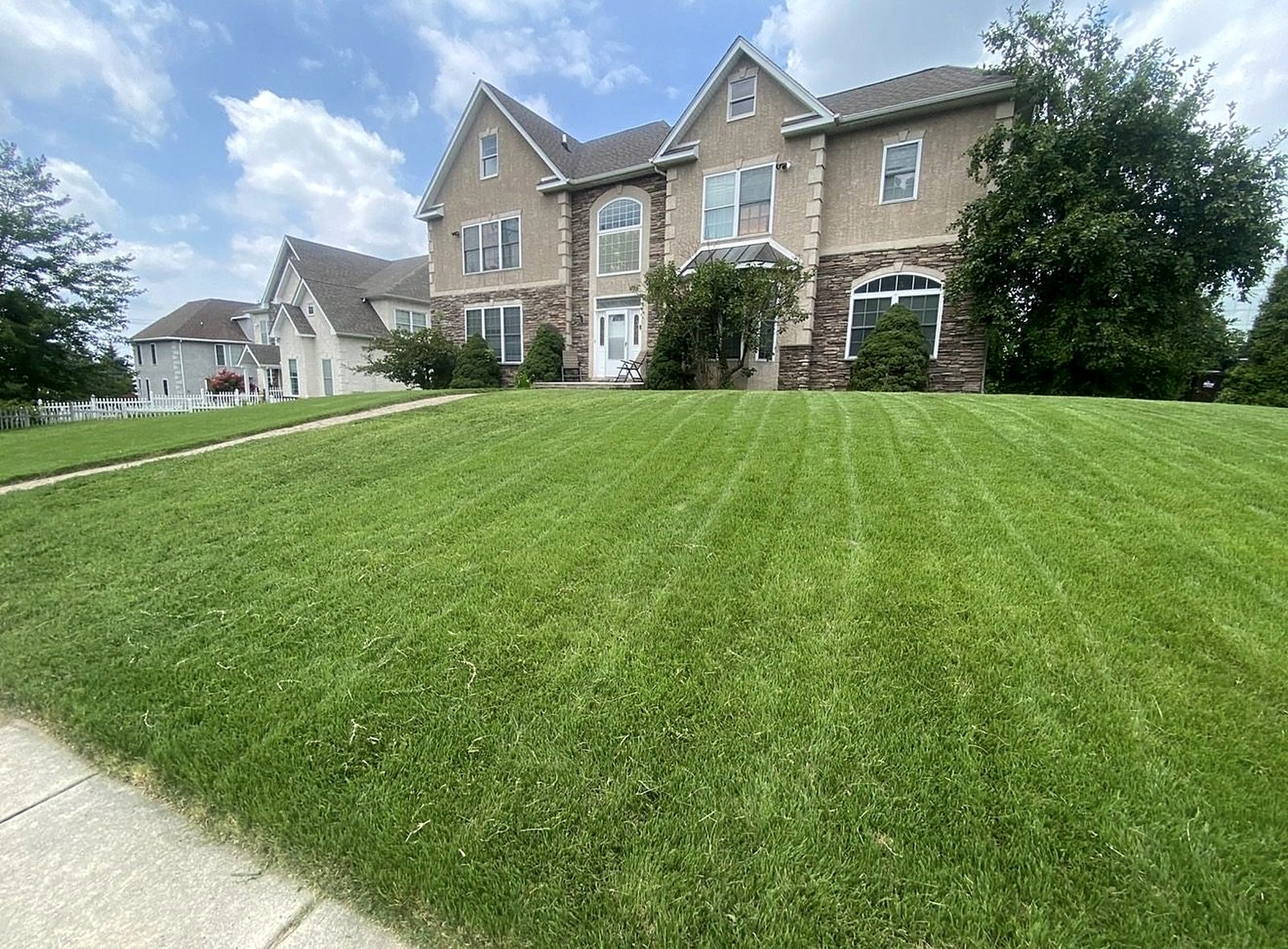 Trimmed shrubs