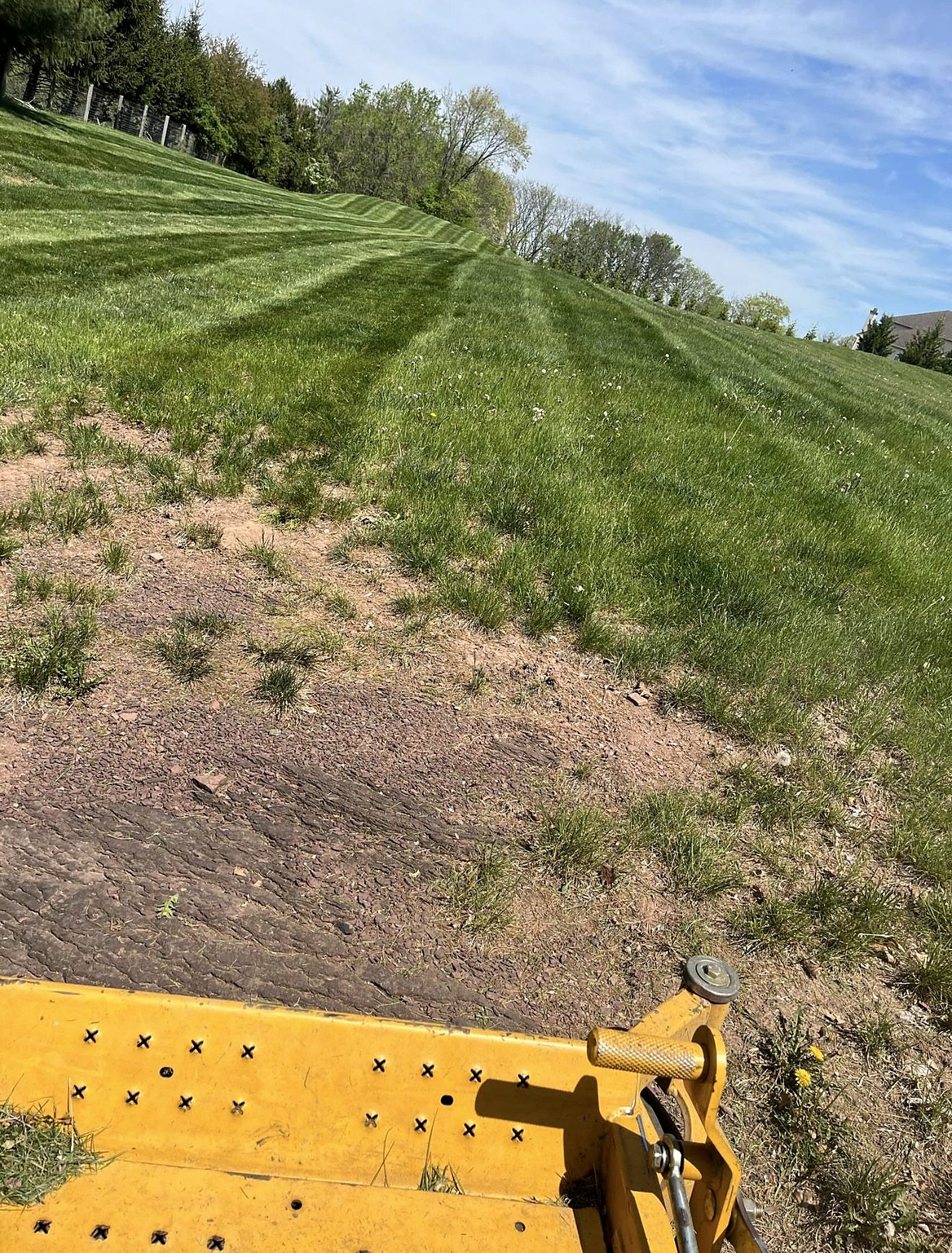 Large green lawn