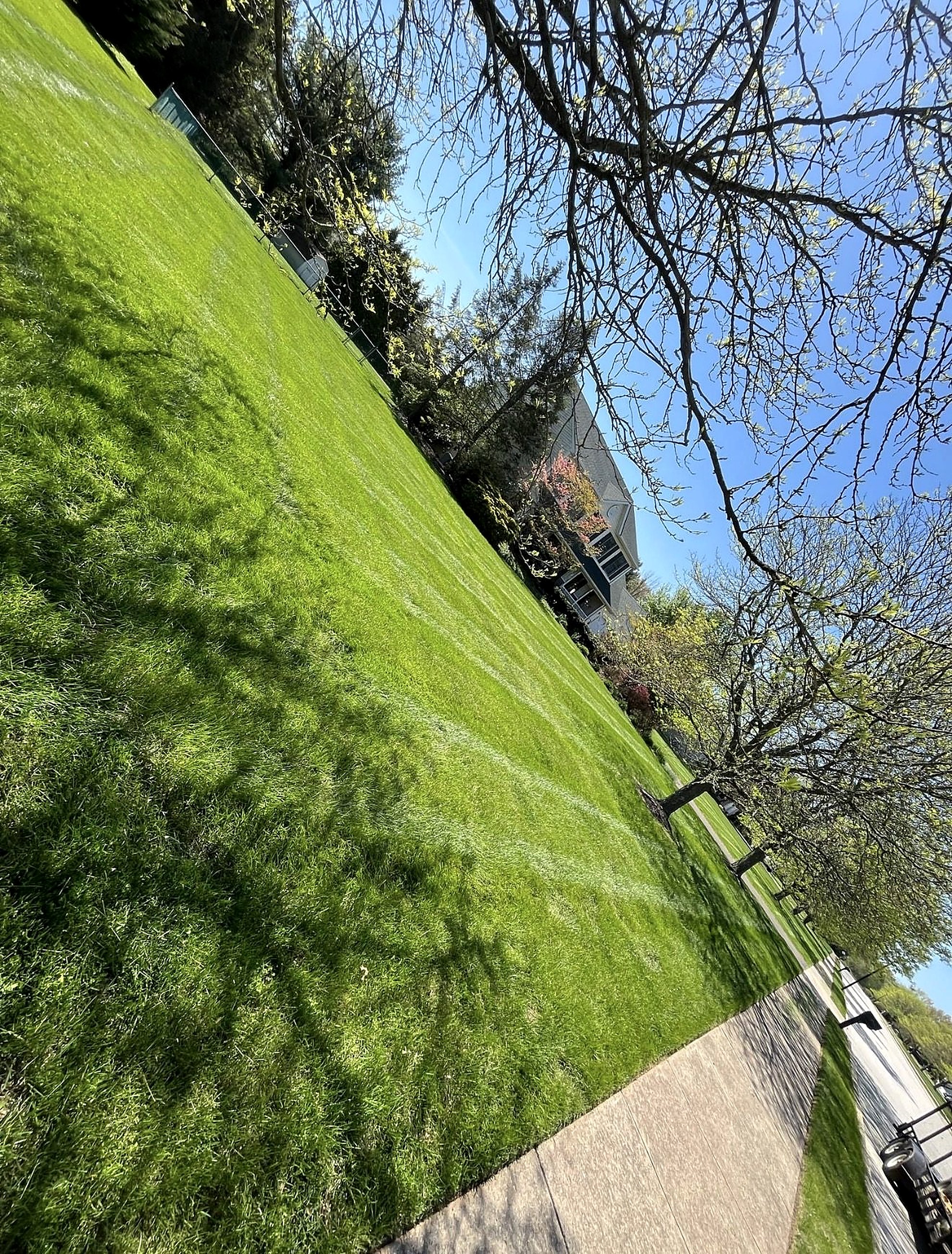 Beautiful green lawn