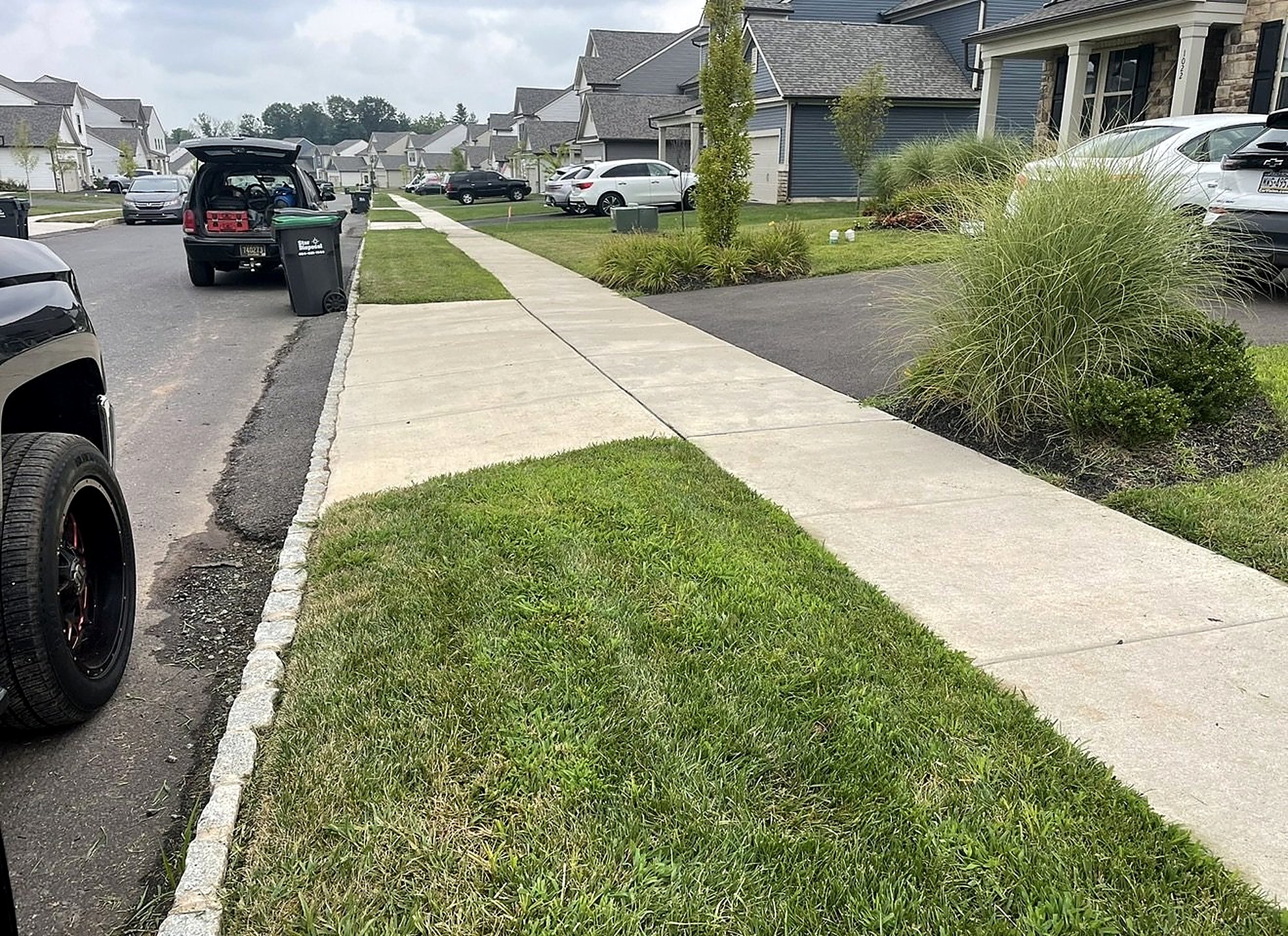 Neighborhood lawn